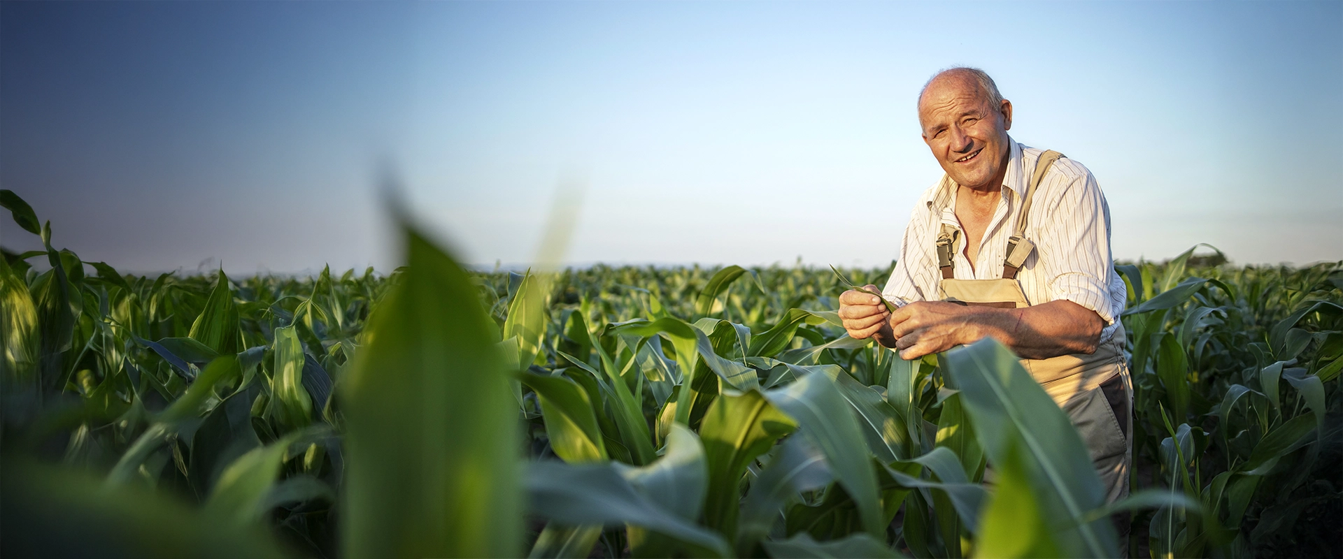 Central de monitoramento